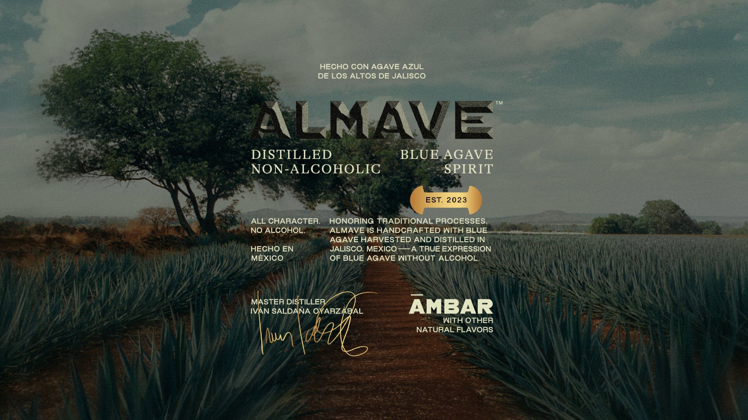 Almave Distilled non-alcoholic Blue Agave Spirit.