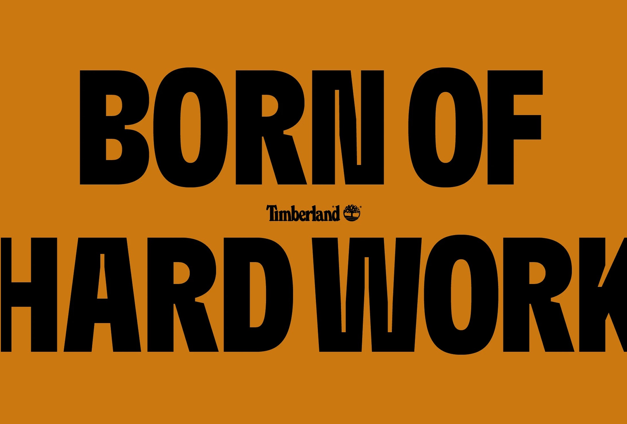 Bold black text reading "BORN OF HARD WORK" appears on an orange background with a small Timberland logo and name between the words.