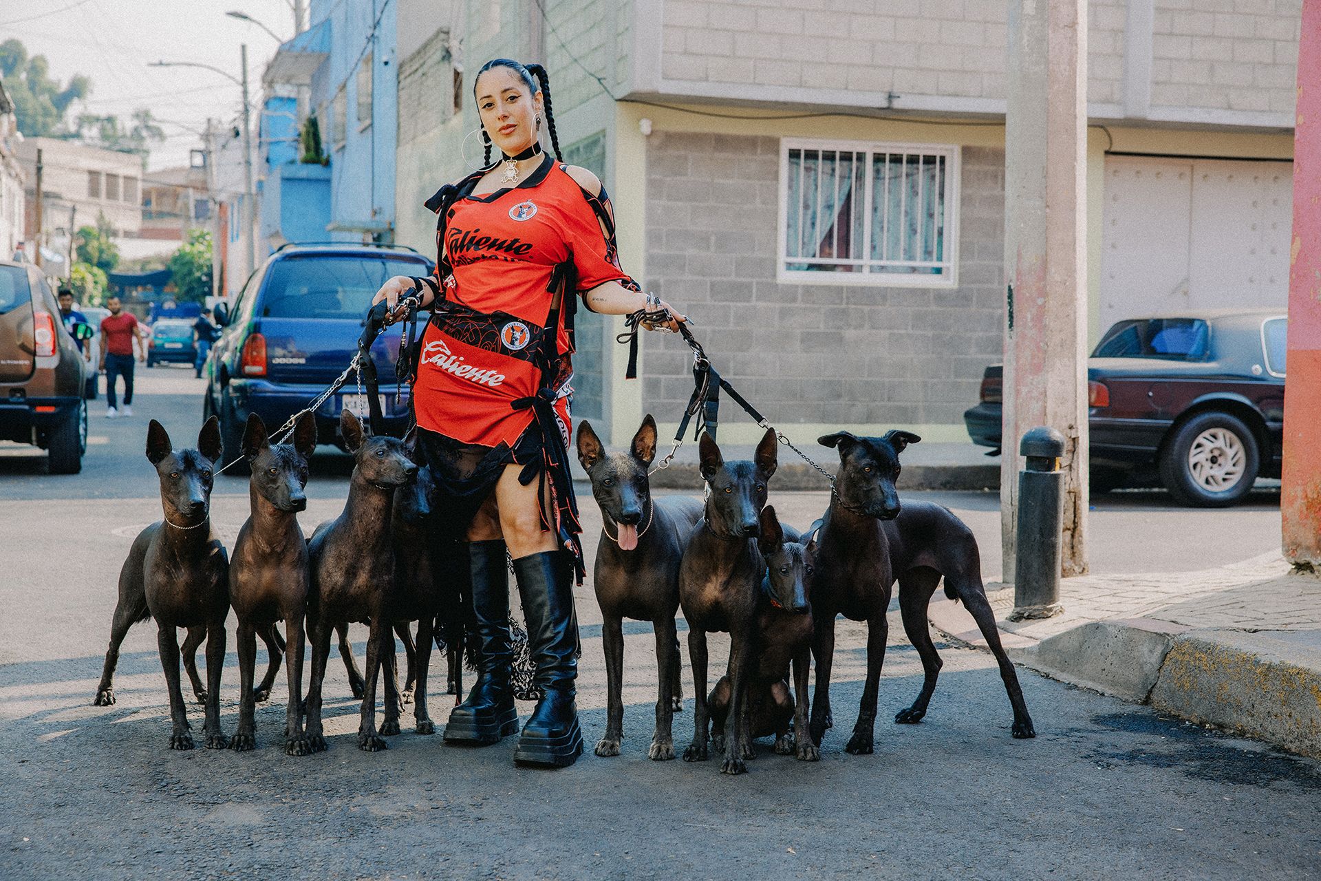 A woman dressed in a red and black outfit is holding leashes of eight black dogs on a street in an urban neighborhood.